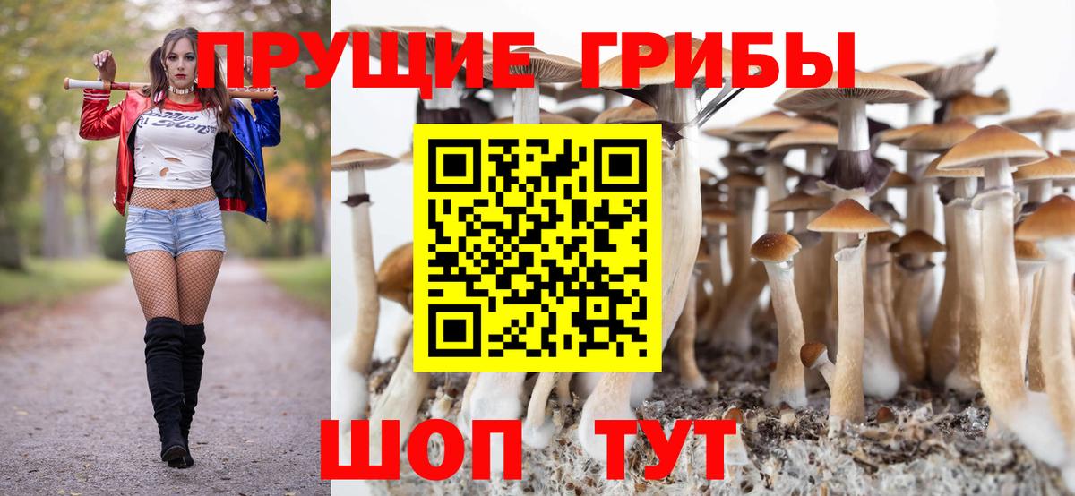 купить  сайты  Вход с VPN  Заволжье  Псилоцибиновые грибы прущие грибы 